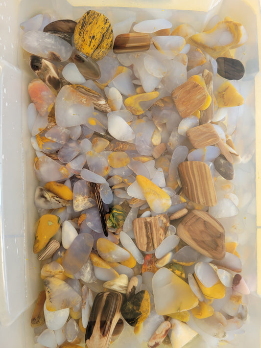 Polished Madison Blue Agate, Petrified wood