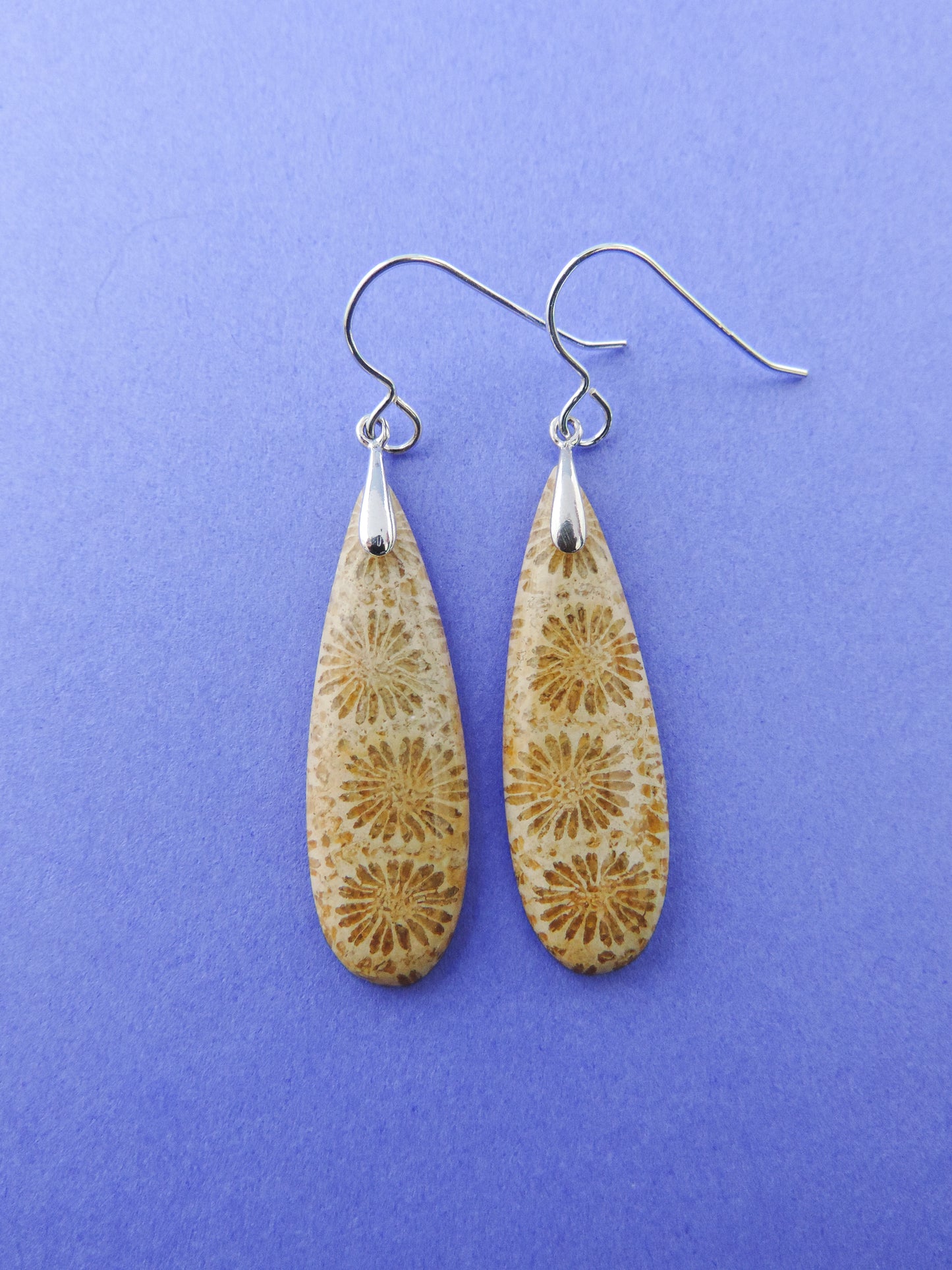 Indonesian Fossilized Coral Earrings & Sterling Silver Agatized fossil corals are found in several provinces across the Indonesian Islands of Sumatra and Java. The fossil corals are remnants of ancient reefs thrust up onto the land mass by plate collisions, and later found buried in the soils.