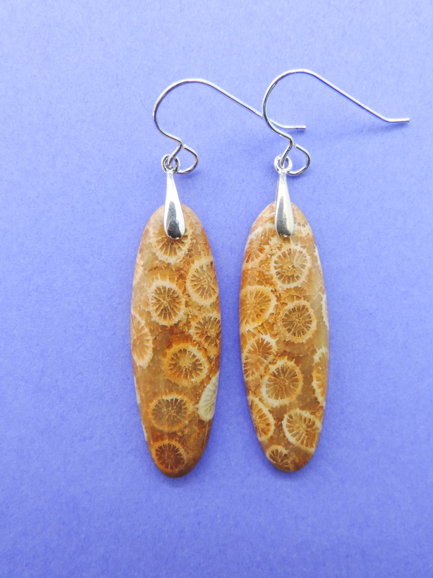 Indonesian Fossilized Coral Earrings & Sterling Silver Agatized fossil corals are found in several provinces across the Indonesian Islands of Sumatra and Java. The fossil corals are remnants of ancient reefs thrust up onto the land mass by plate collisions, and later found buried in the soils.