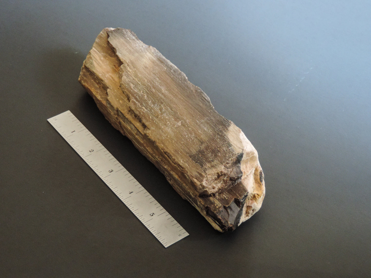 Agatized Wood, Petrified Wood, Mineral Specimens, Rock Specimens, Lapidary Stones, Lapidary Material, Alter Stones, Stones for Decorating, Decorative Stones, Semi-precious Stones, Semi-precious Gemstones, Rock Collector Specimens, Opalized Wood, Natural Stones, Grounding Stones, Transformational Stones, Protective Stones, Centering Stones