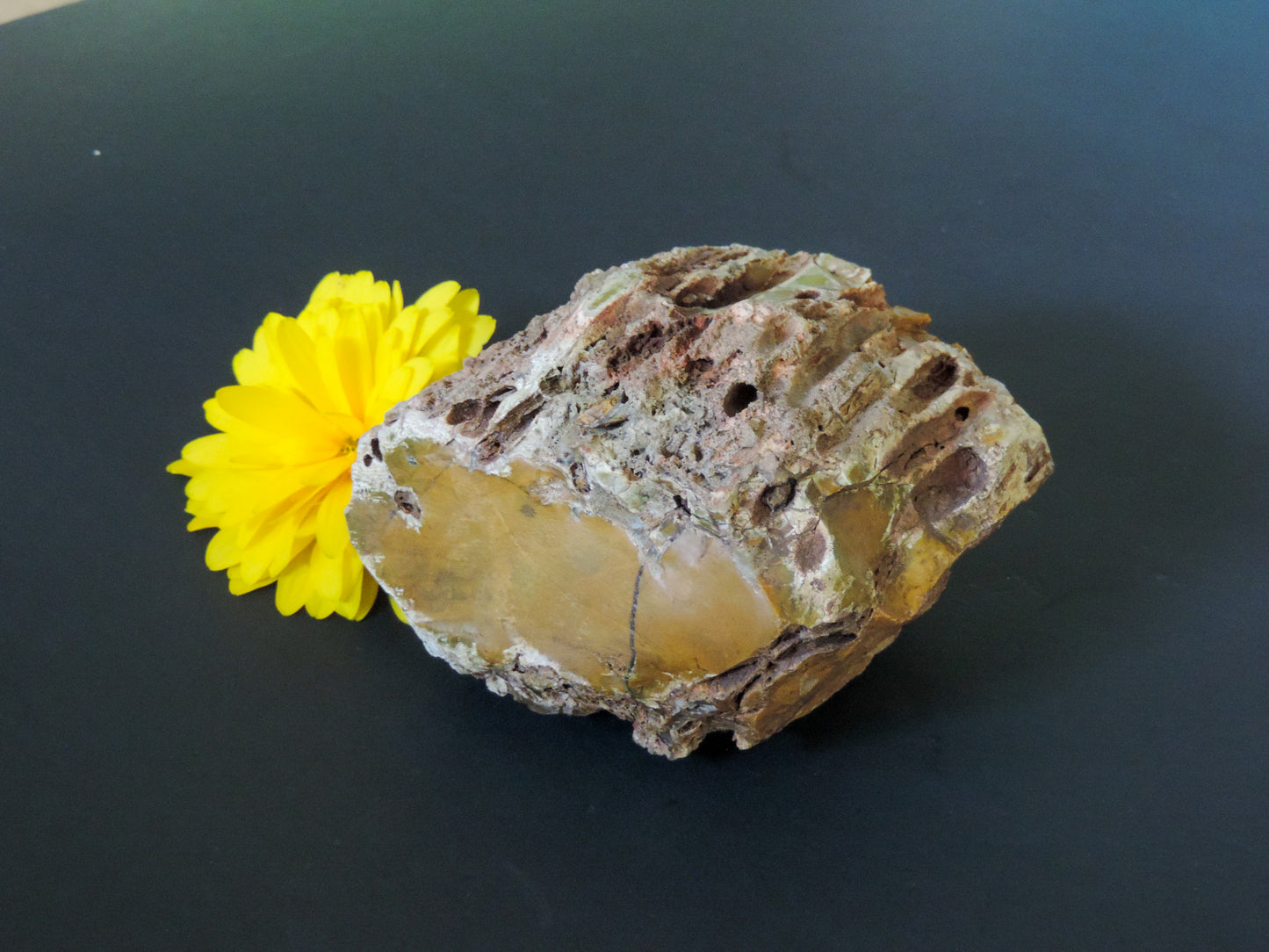 Adorn your home, office, cabin, camper, alter, hearth or collectors case with this unique one of a kind specimen and FEEL the difference.