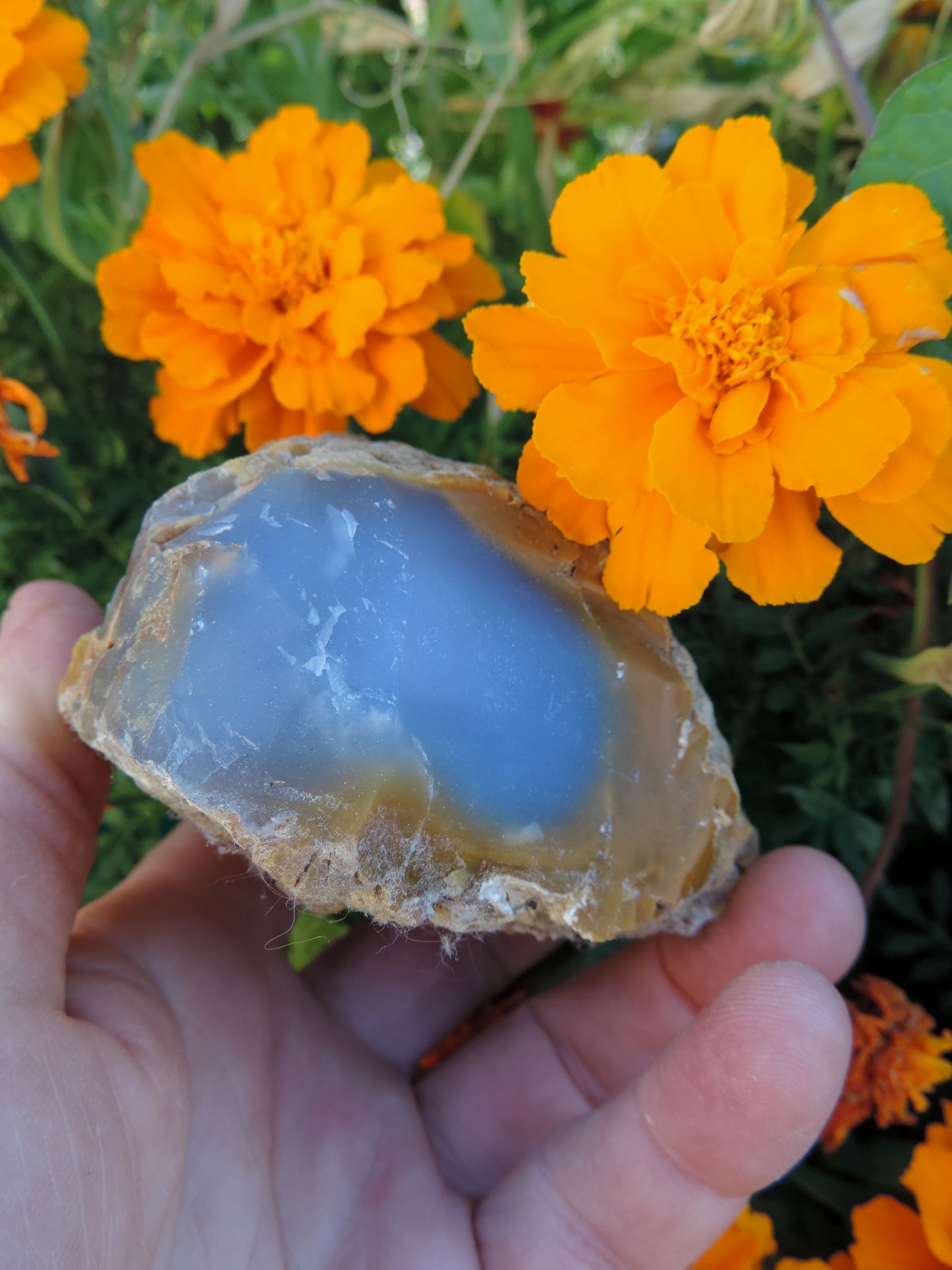 Agate Specimens, Blue Agate Specimens, Madison Blue Agate, Blue Agate, Blue Chalcedony, Rock Specimens, Lapidary Stones, Lapidary Material, Alter Stones, Stones for Decorating, Decorative Stones, Semi-precious Stones, Semi-precious Gemstones, Rock Collector Specimens, Natural Stones, Grounding Stones, Transformational Stones, Calming Stones, Centering Stones, Rare Stone