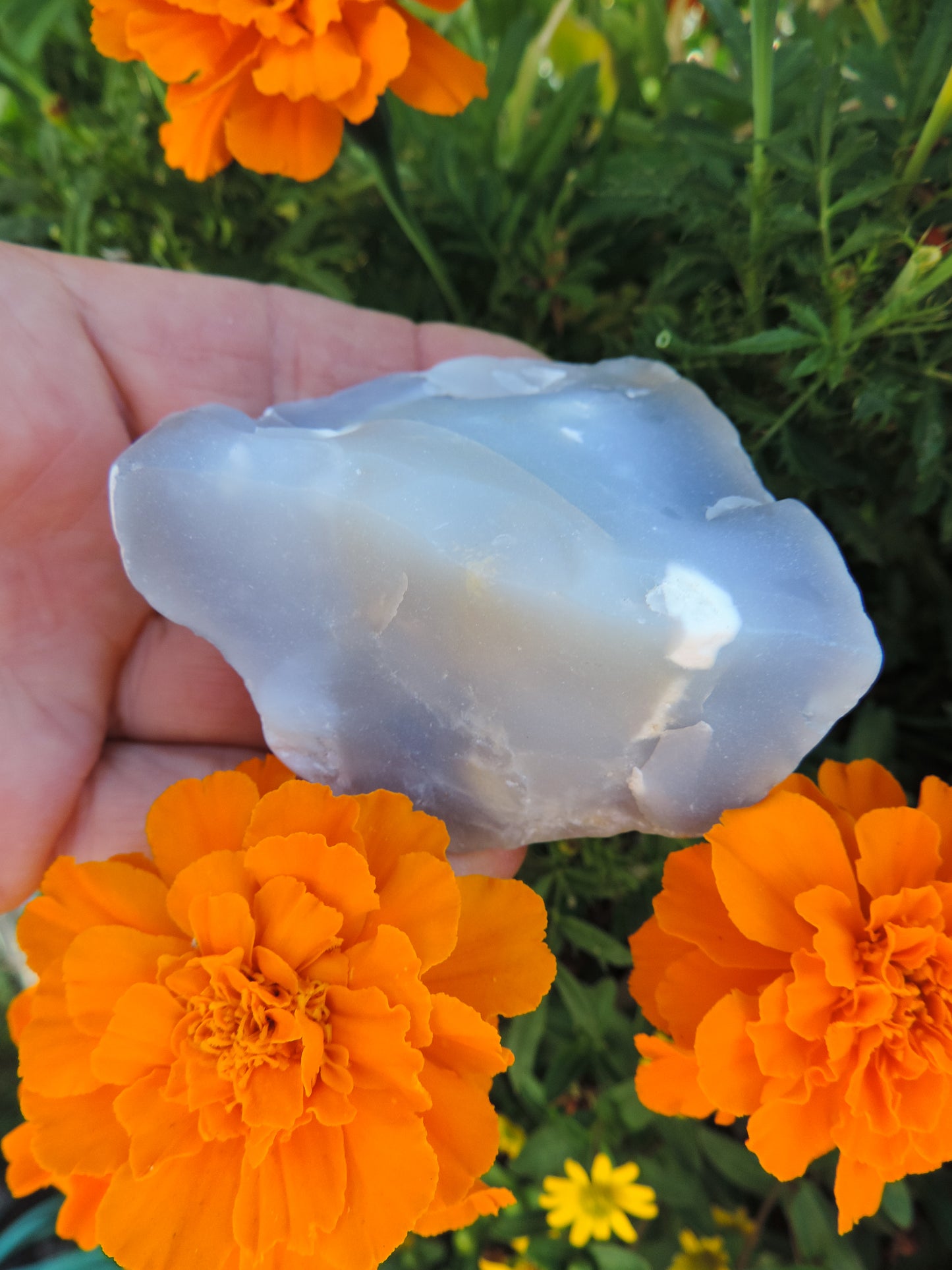 Agate Specimens, Blue Agate Specimens, Madison Blue Agate, Blue Agate, Blue Chalcedony, Rock Specimens, Lapidary Stones, Lapidary Material, Alter Stones, Stones for Decorating, Decorative Stones, Semi-precious Stones, Semi-precious Gemstones, Rock Collector Specimens, Natural Stones, Grounding Stones, Transformational Stones, Calming Stones, Centering Stones, Rare Stone