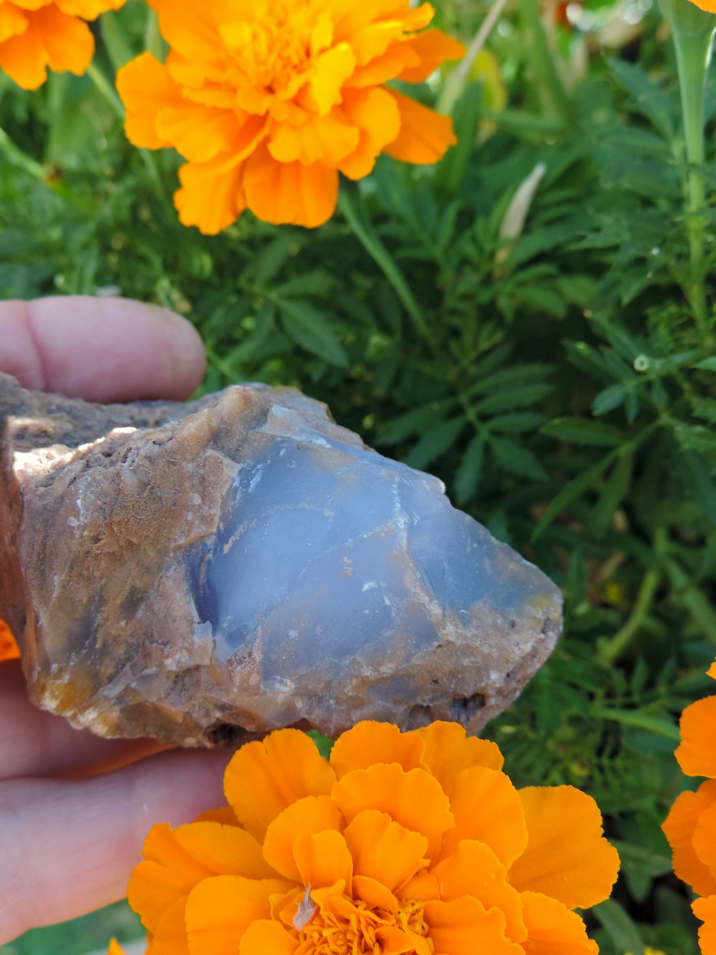 Agate Specimens, Blue Agate Specimens, Madison Blue Agate, Blue Agate, Blue Chalcedony, Rock Specimens, Lapidary Stones, Lapidary Material, Alter Stones, Stones for Decorating, Decorative Stones, Semi-precious Stones, Semi-precious Gemstones, Rock Collector Specimens, Natural Stones, Grounding Stones, Transformational Stones, Calming Stones, Centering Stones, Rare Stone
