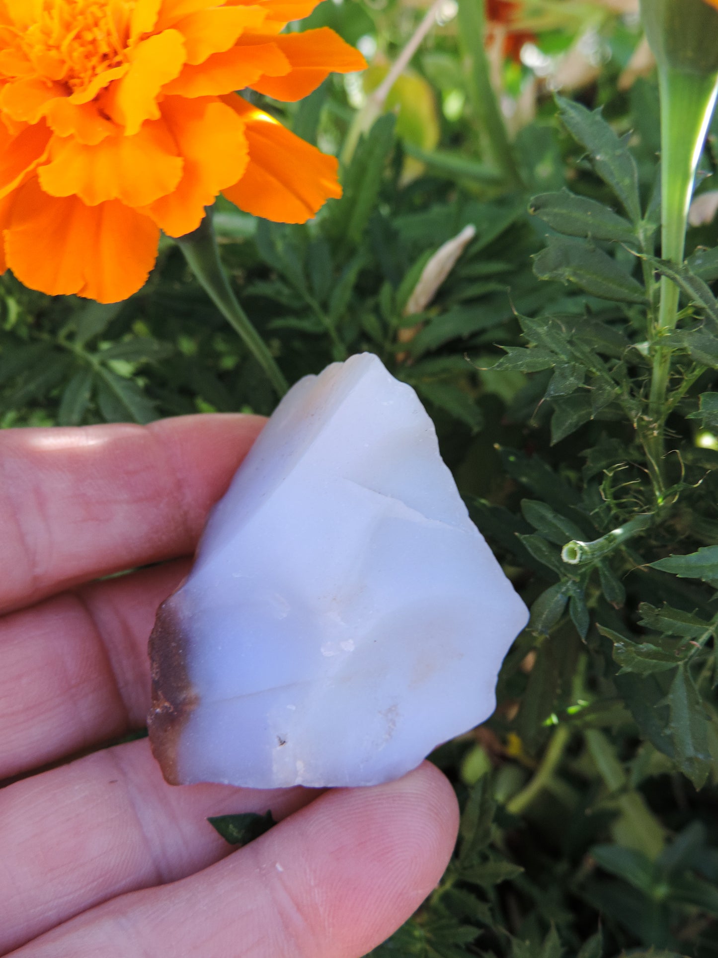 Agate Specimens, Blue Agate Specimens, Madison Blue Agate, Blue Agate, Blue Chalcedony, Rock Specimens, Lapidary Stones, Lapidary Material, Alter Stones, Stones for Decorating, Decorative Stones, Semi-precious Stones, Semi-precious Gemstones, Rock Collector Specimens, Natural Stones, Grounding Stones, Transformational Stones, Calming Stones, Centering Stones, Rare Stone