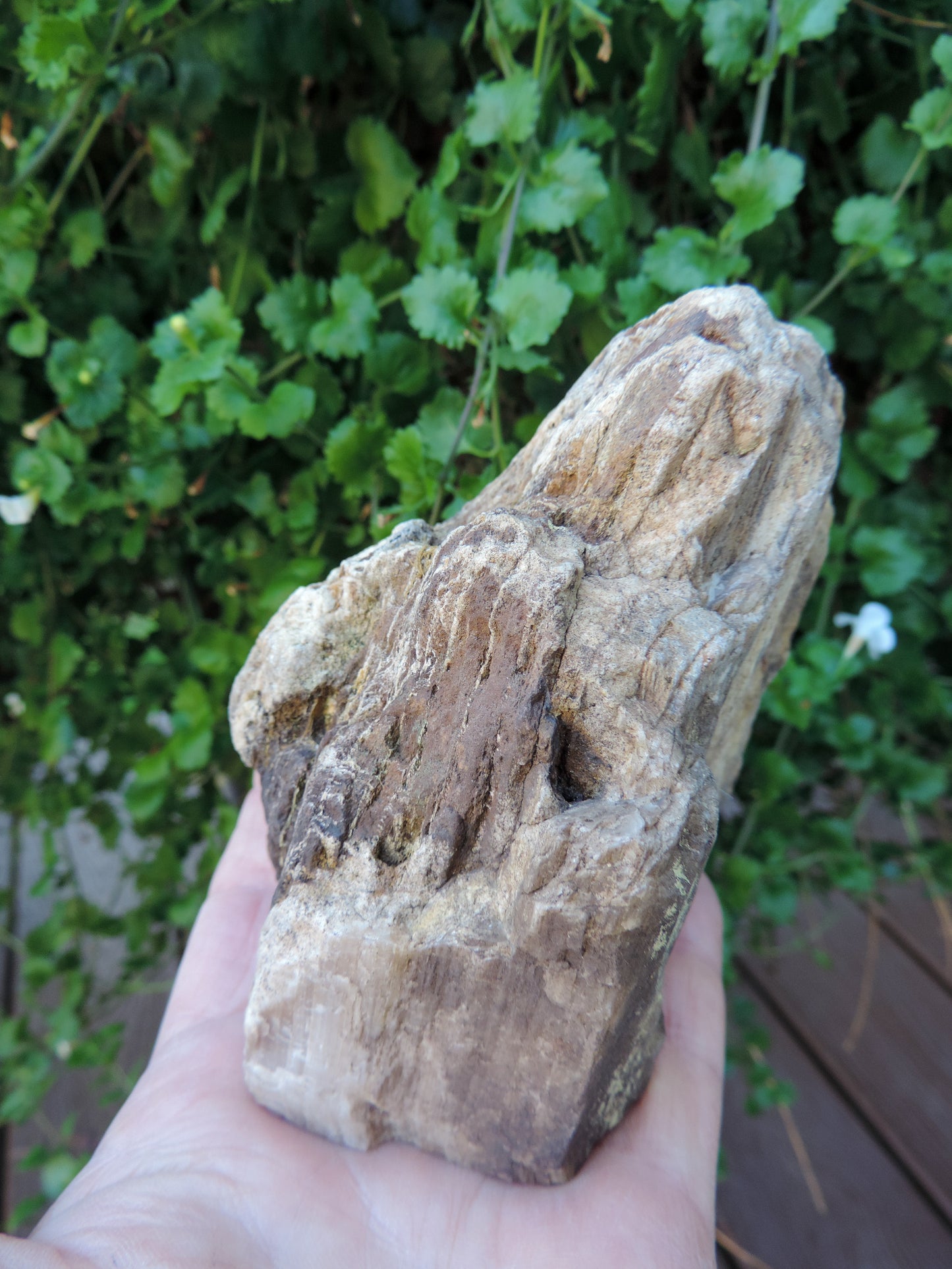 Adorn your home, office, cabin, camper, alter, hearth or collectors case with this unique one of a kind specimen and FEEL the difference. Created