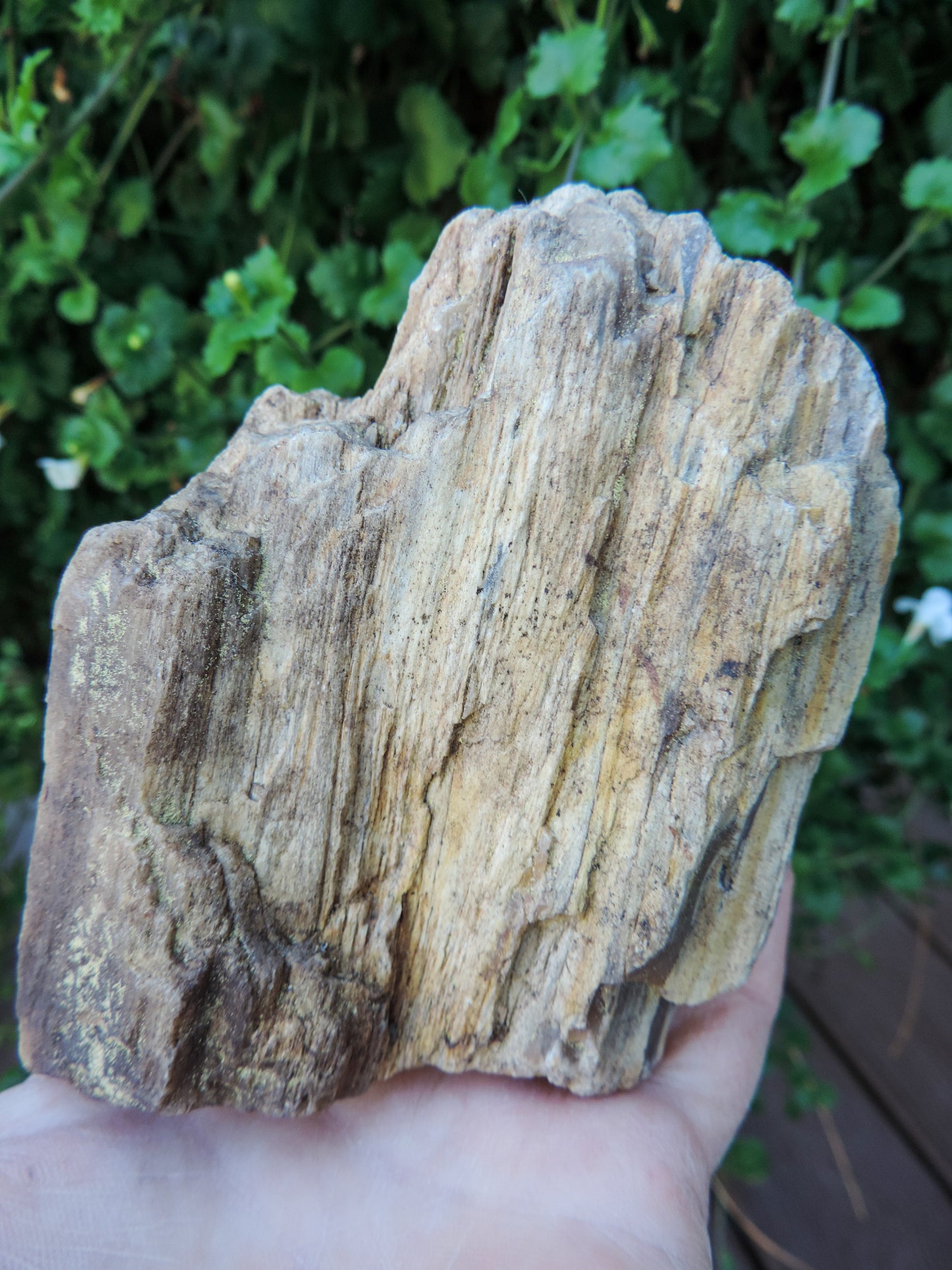 Agatized Wood, Petrified Wood, Mineral Specimens, Rock Specimens, Lapidary Stones, Lapidary Material, Alter Stones, Stones for Decorating, Decorative Stones, Semi-precious Stones, Semi-precious Gemstones, Rock Collector Specimens, Opalized Wood, Natural Stones, Grounding Stones, Transformational Stones, Protective Stones, Centering Stones
