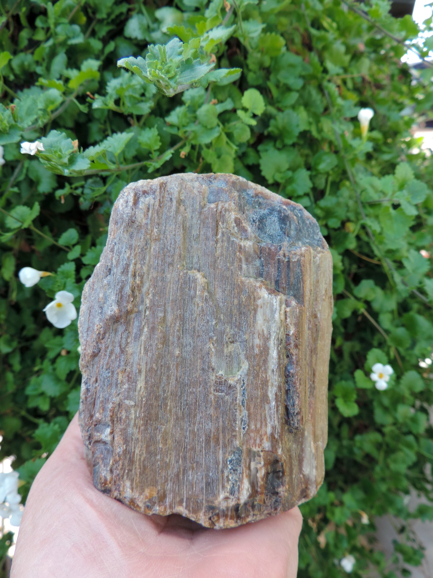 The information presented here is for informational purposes only, this is not a substitute for professional advice, do not use this information as medical advice, seek professional help if needed.