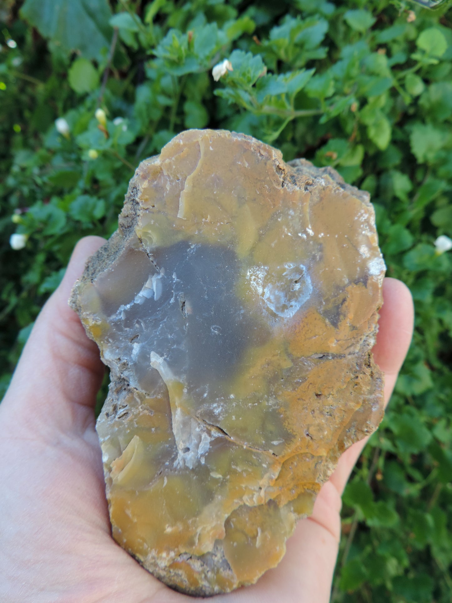 Agate Specimens, Blue Agate Specimens, Madison Blue Agate, Blue Agate, Blue Chalcedony, Rock Specimens, Lapidary Stones, Lapidary Material, Alter Stones, Stones for Decorating, Decorative Stones, Semi-precious Stones, Semi-precious Gemstones, Rock Collector Specimens, Natural Stones, Grounding Stones, Transformational Stones, Calming Stones, Centering Stones, Rare Stone