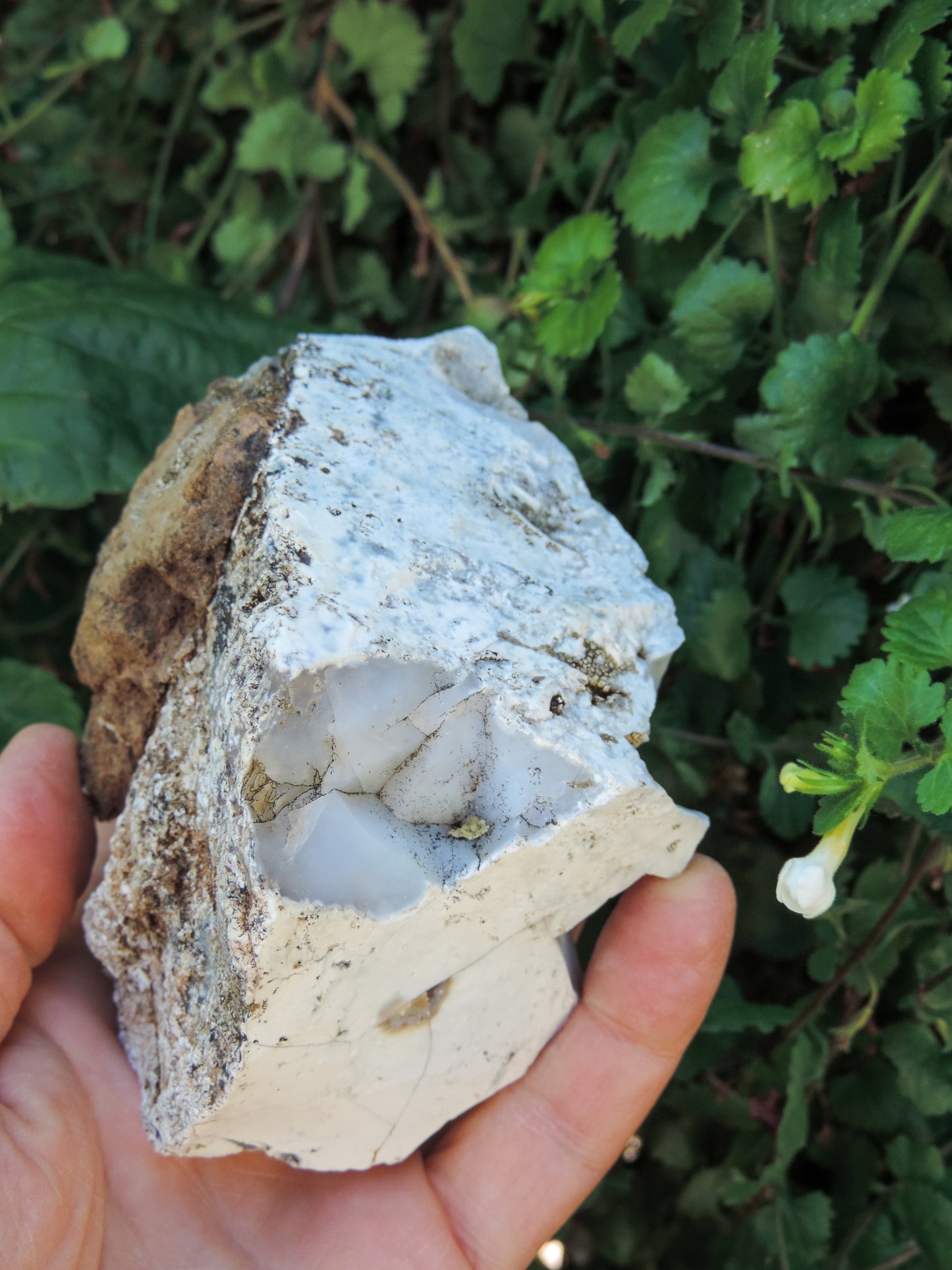 Agate Specimens, Blue Agate Specimens, Madison Blue Agate, Blue Agate, Blue Chalcedony, Rock Specimens, Lapidary Stones, Lapidary Material, Alter Stones, Stones for Decorating, Decorative Stones, Semi-precious Stones, Semi-precious Gemstones, Rock Collector Specimens, Natural Stones, Grounding Stones, Transformational Stones, Calming Stones, Centering Stones, Rare Stone