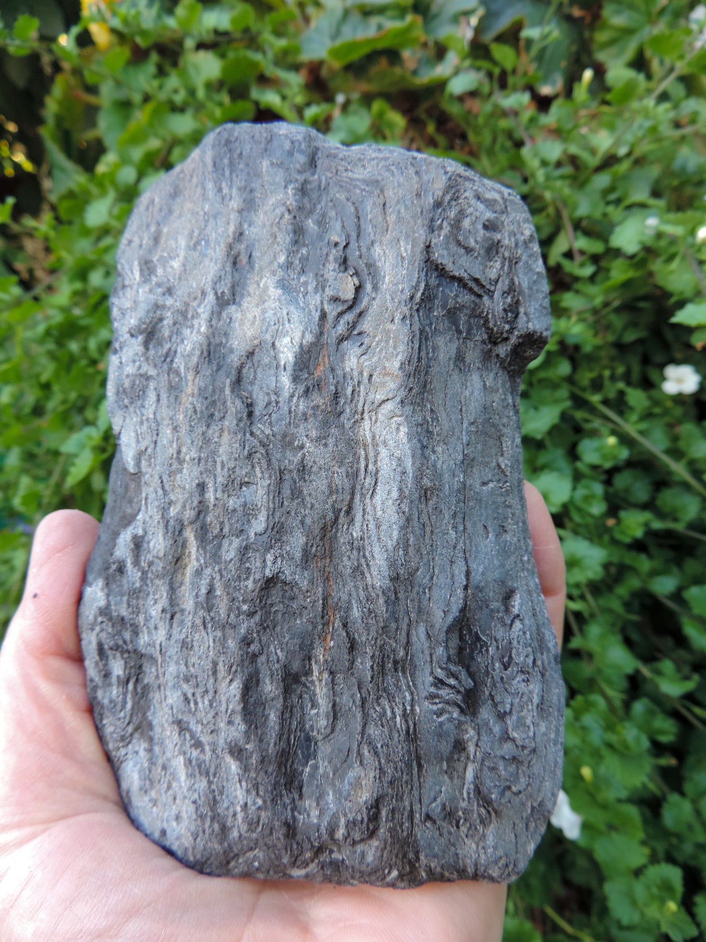 The information presented here is for informational purposes only, this is not a substitute for professional advice, do not use this information as medical advice, seek professional help if needed.