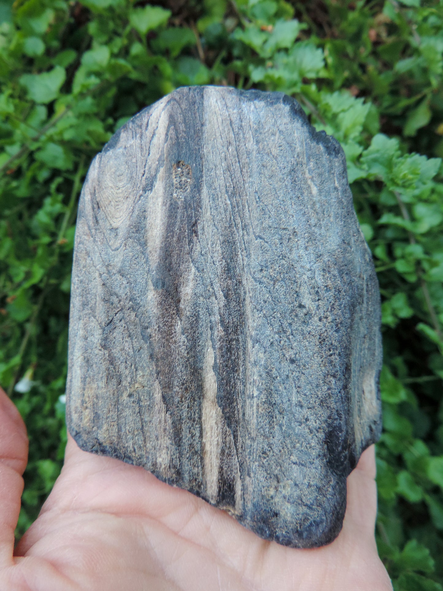 Agatized Wood, Petrified Wood, Mineral Specimens, Rock Specimens, Lapidary Stones, Lapidary Material, Alter Stones, Stones for Decorating, Decorative Stones, Semi-precious Stones, Semi-precious Gemstones, Rock Collector Specimens, Opalized Wood, Natural Stones, Grounding Stones, Transformational Stones, Protective Stones, Centering Stones