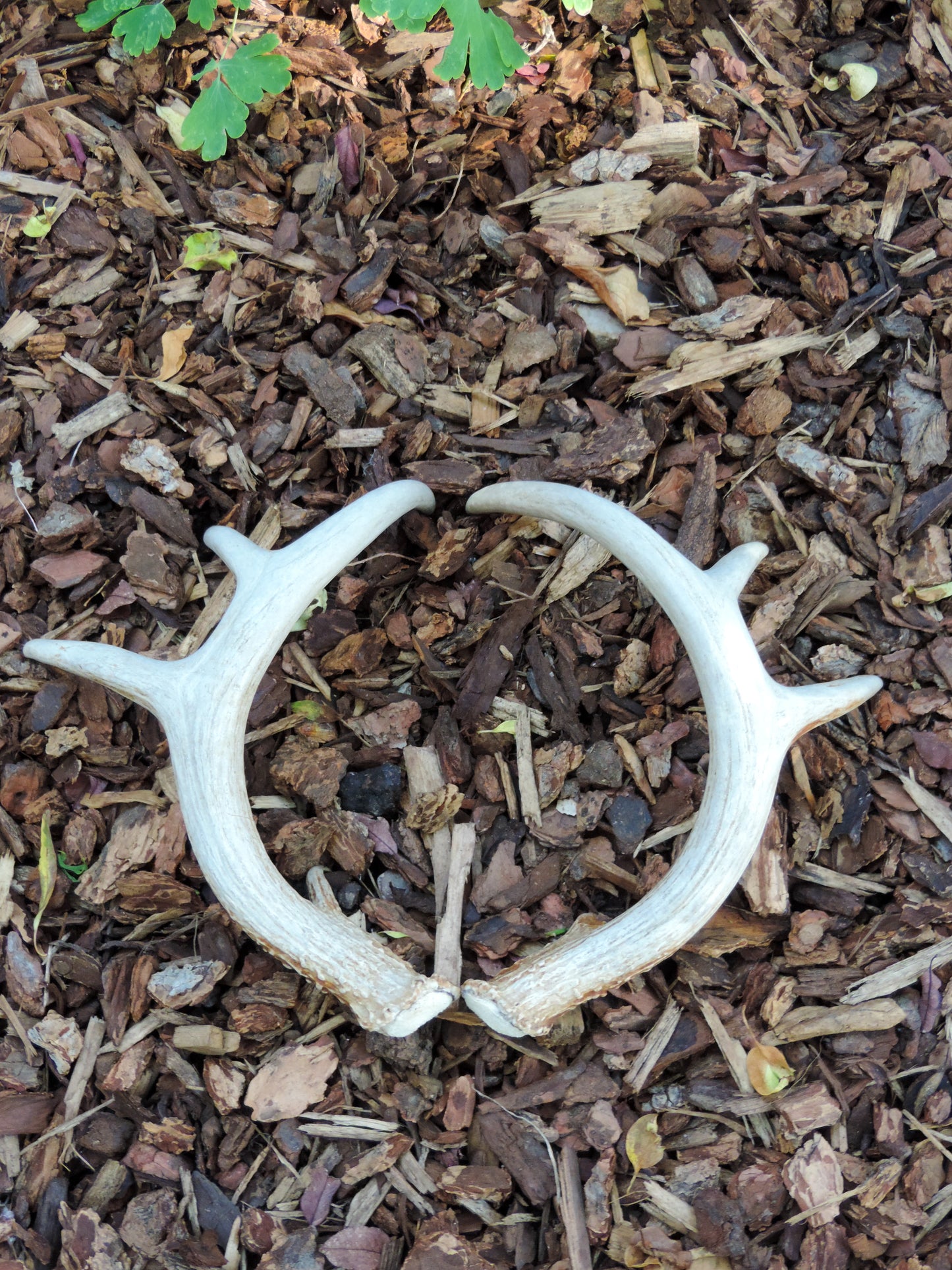 Beautiful craft and decorative art projects