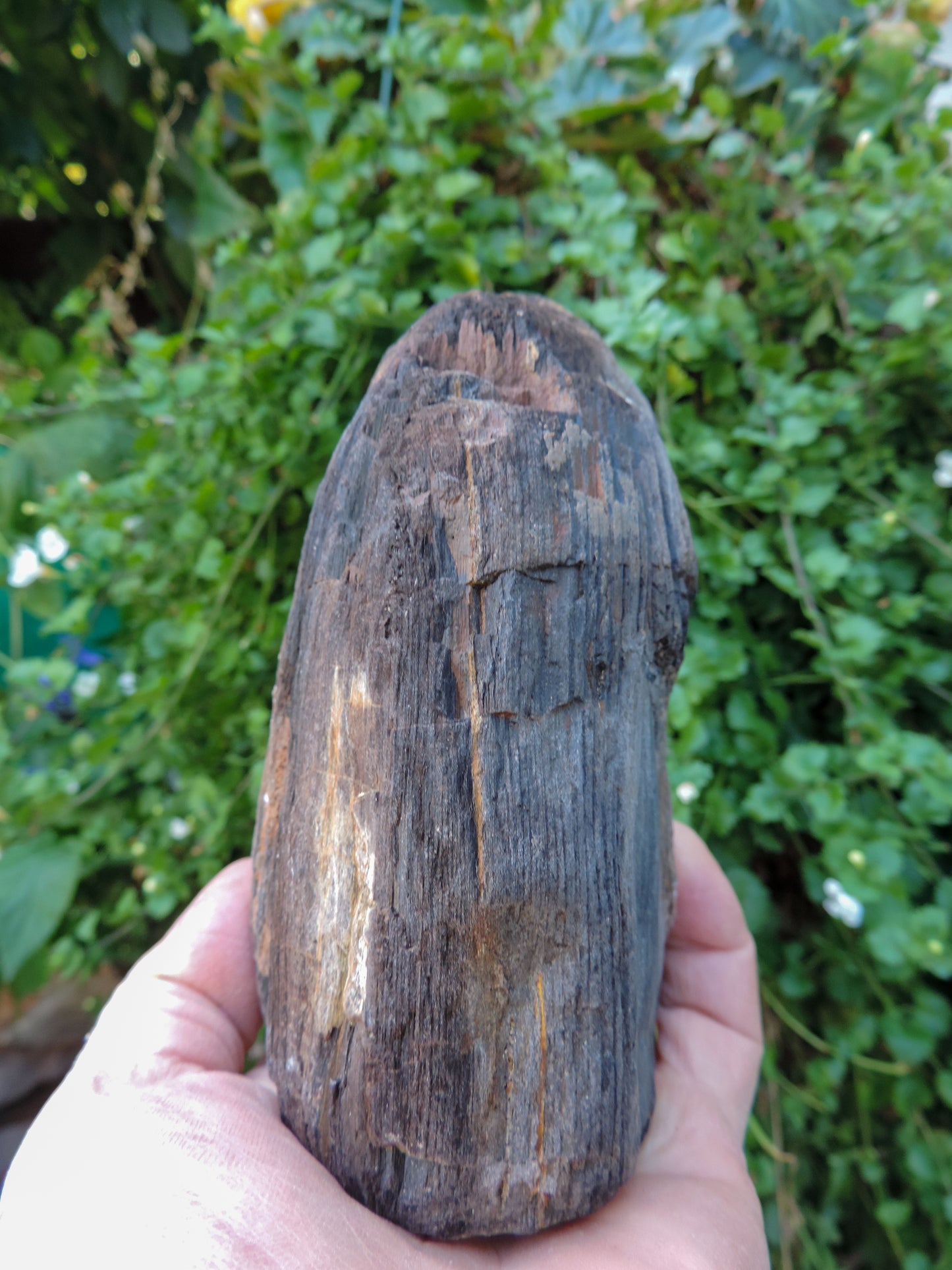 Agatized Wood, Petrified Wood, Mineral Specimens, Rock Specimens, Lapidary Stones, Lapidary Material, Alter Stones, Stones for Decorating, Decorative Stones, Semi-precious Stones, Semi-precious Gemstones, Rock Collector Specimens, Opalized Wood, Natural Stones, Grounding Stones, Transformational Stones, Protective Stones, Centering Stones