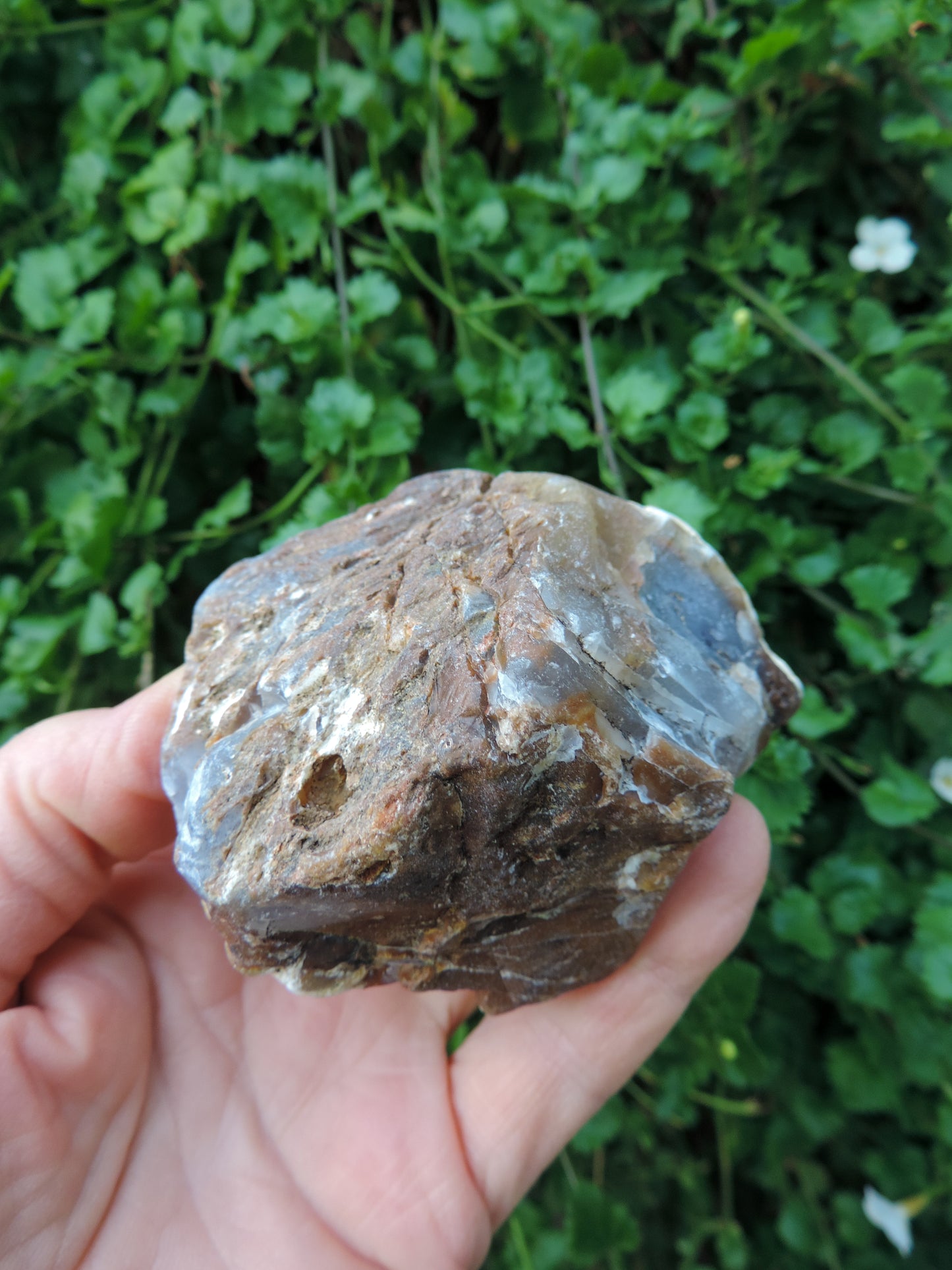 Agate Specimens, Blue Agate Specimens, Madison Blue Agate, Blue Agate, Blue Chalcedony, Rock Specimens, Lapidary Stones, Lapidary Material, Alter Stones, Stones for Decorating, Decorative Stones, Semi-precious Stones, Semi-precious Gemstones, Rock Collector Specimens, Natural Stones, Grounding Stones, Transformational Stones, Calming Stones, Centering Stones, Rare Stone