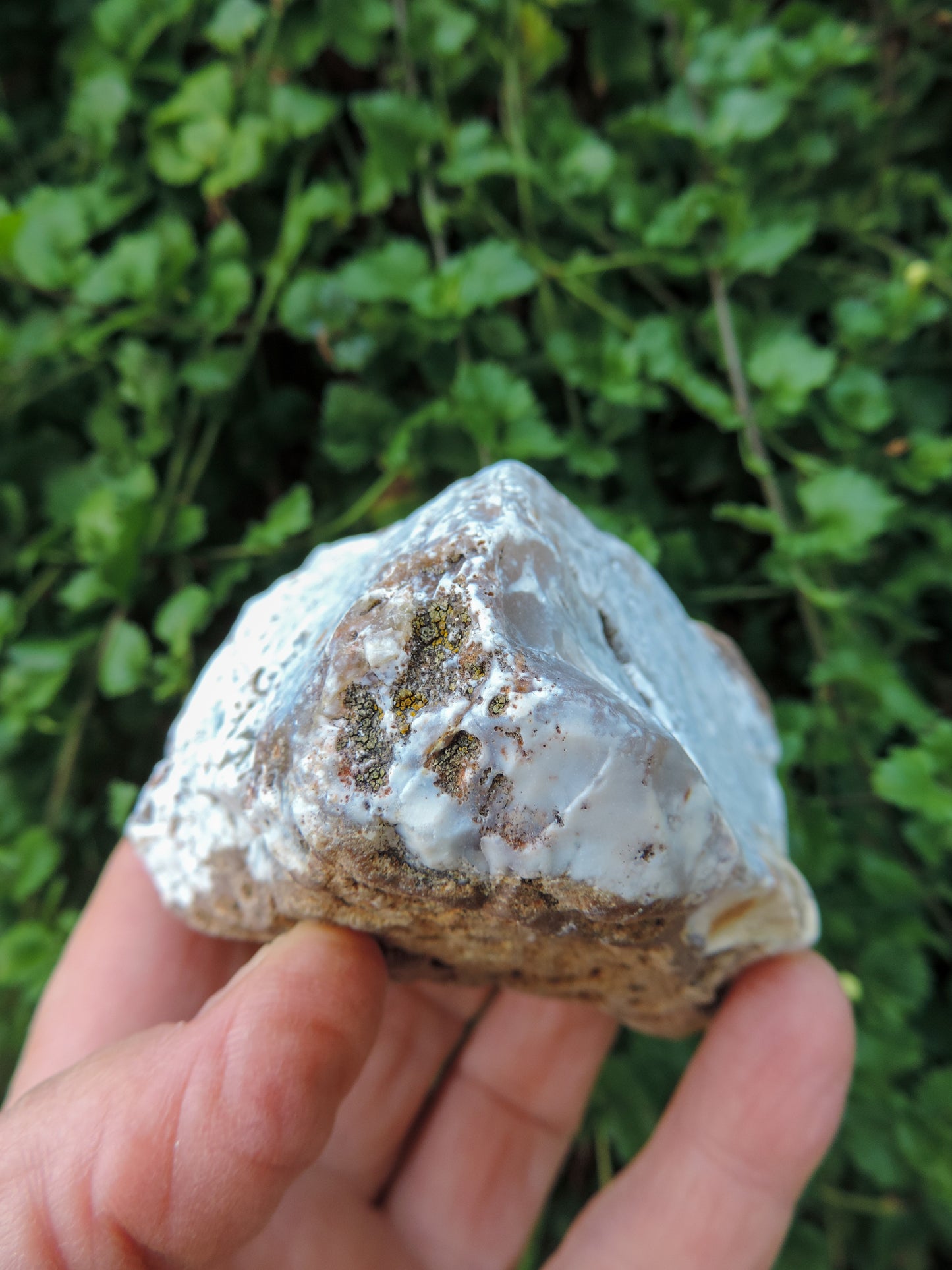 Agate Specimens, Blue Agate Specimens, Madison Blue Agate, Blue Agate, Blue Chalcedony, Rock Specimens, Lapidary Stones, Lapidary Material, Alter Stones, Stones for Decorating, Decorative Stones, Semi-precious Stones, Semi-precious Gemstones, Rock Collector Specimens, Natural Stones, Grounding Stones, Transformational Stones, Calming Stones, Centering Stones, Rare Stone