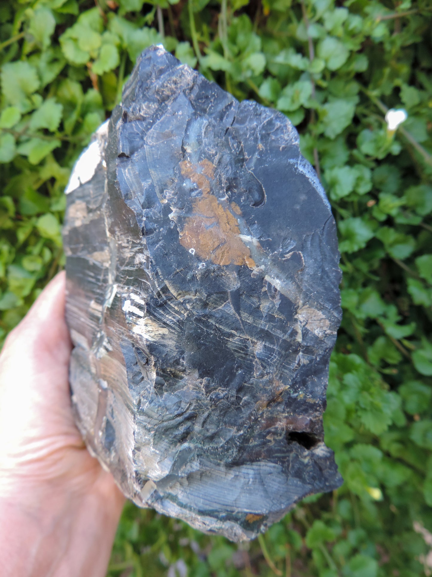 Agatized Wood, Petrified Wood, Mineral Specimens, Rock Specimens, Lapidary Stones, Lapidary Material, Alter Stones, Stones for Decorating, Decorative Stones, Semi-precious Stones, Semi-precious Gemstones, Rock Collector Specimens, Opalized Wood, Natural Stones, Grounding Stones, Transformational Stones, Protective Stones, Centering Stones