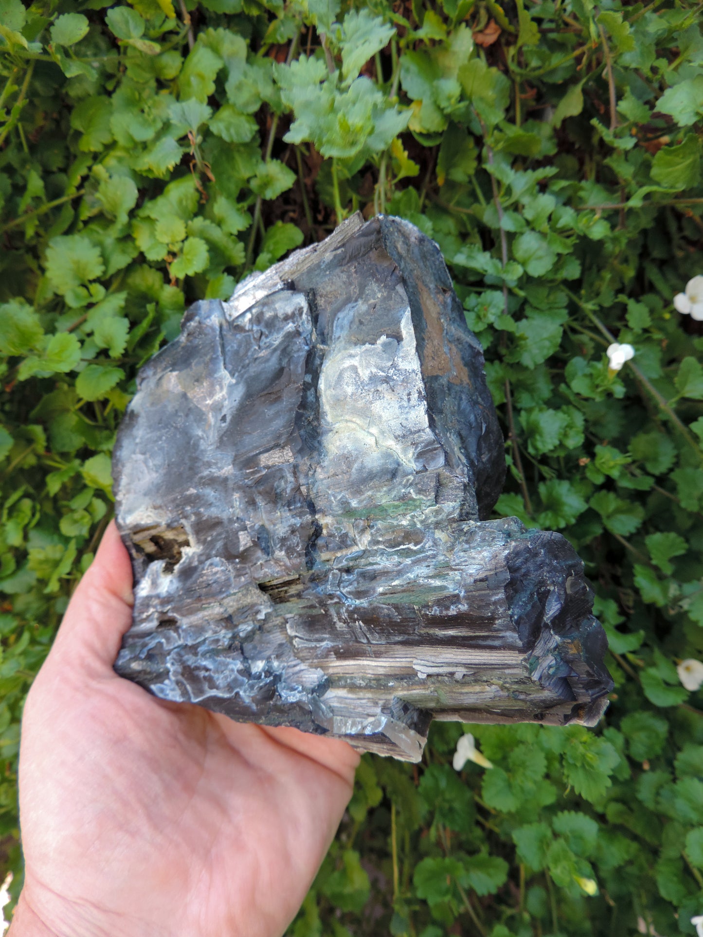 Agatized Wood, Petrified Wood, Mineral Specimens, Rock Specimens, Lapidary Stones, Lapidary Material, Alter Stones, Stones for Decorating, Decorative Stones, Semi-precious Stones, Semi-precious Gemstones, Rock Collector Specimens, Opalized Wood, Natural Stones, Grounding Stones, Transformational Stones, Protective Stones, Centering Stones