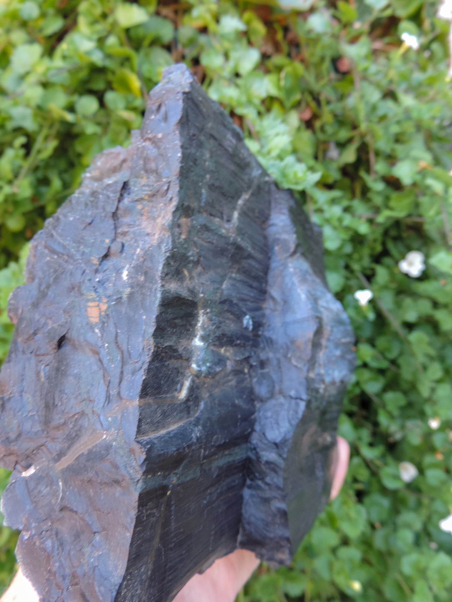 Agatized Wood, Petrified Wood, Mineral Specimens, Rock Specimens, Lapidary Stones, Lapidary Material, Alter Stones, Stones for Decorating, Decorative Stones, Semi-precious Stones, Semi-precious Gemstones, Rock Collector Specimens, Opalized Wood, Natural Stones, Grounding Stones, Transformational Stones, Protective Stones, Centering Stones