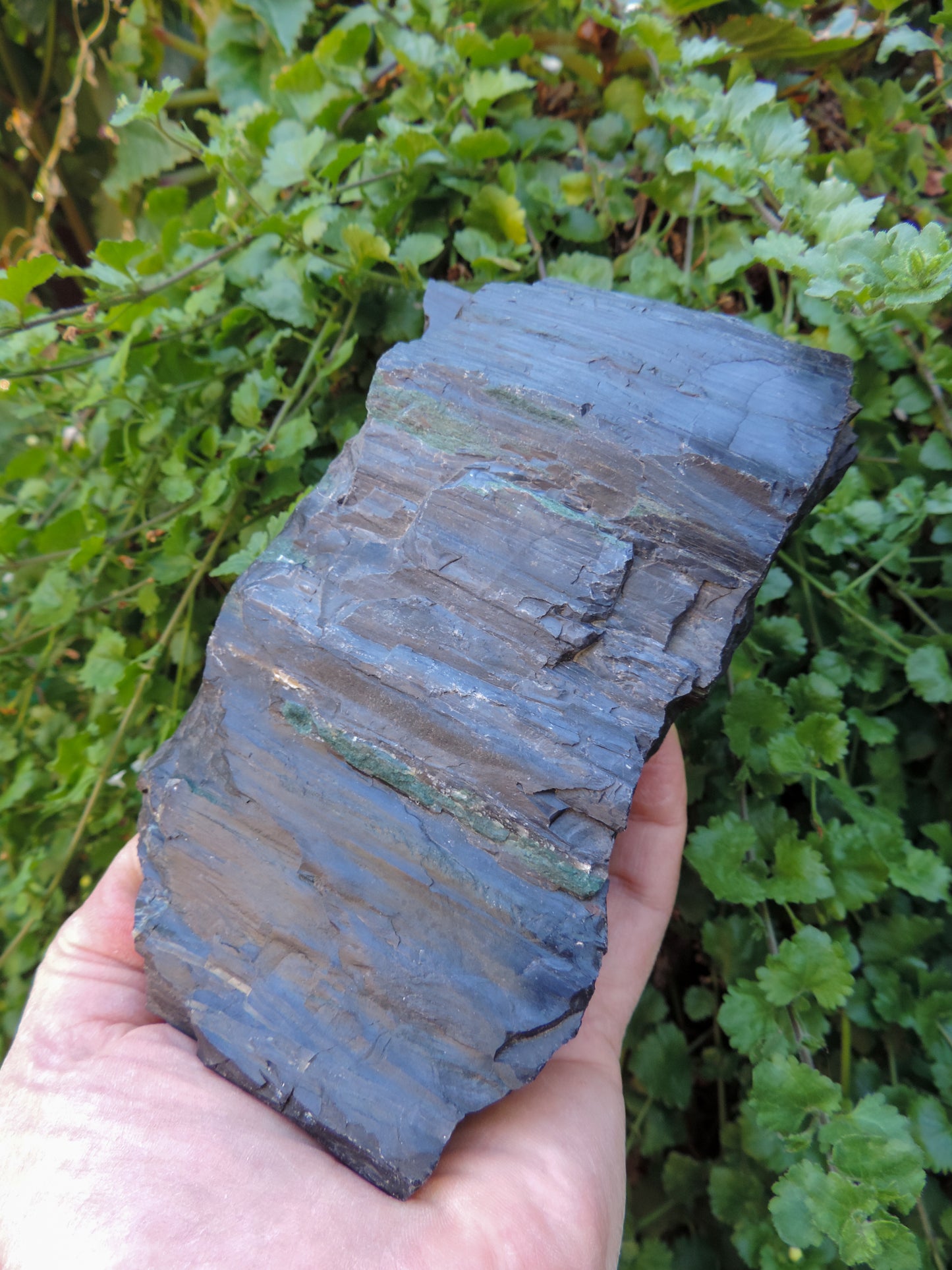 Agatized Wood, Petrified Wood, Mineral Specimens, Rock Specimens, Lapidary Stones, Lapidary Material, Alter Stones, Stones for Decorating, Decorative Stones, Semi-precious Stones, Semi-precious Gemstones, Rock Collector Specimens, Opalized Wood, Natural Stones, Grounding Stones, Transformational Stones, Protective Stones, Centering Stones