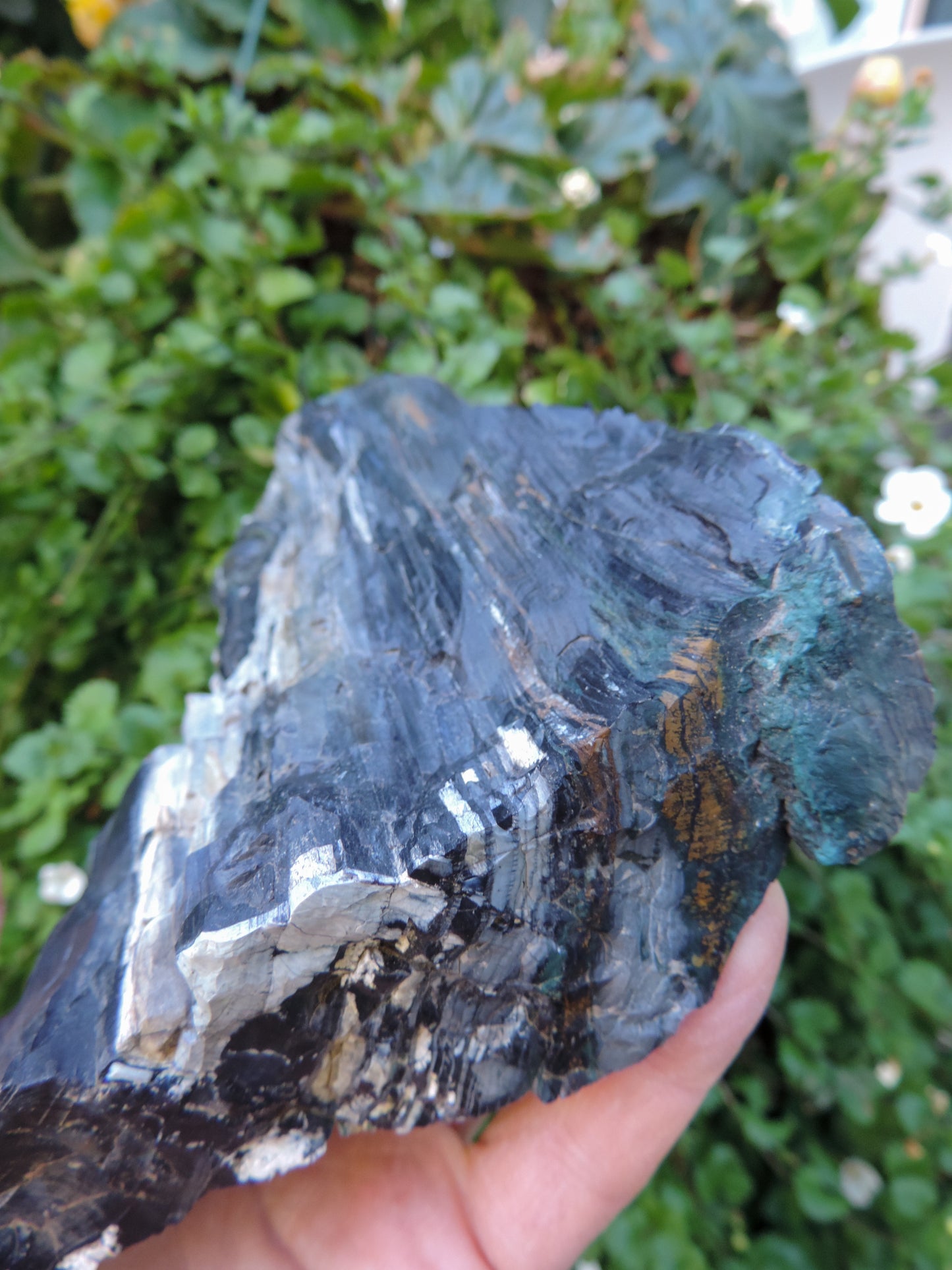 Agatized Wood, Petrified Wood, Mineral Specimens, Rock Specimens, Lapidary Stones, Lapidary Material, Alter Stones, Stones for Decorating, Decorative Stones, Semi-precious Stones, Semi-precious Gemstones, Rock Collector Specimens, Opalized Wood, Natural Stones, Grounding Stones, Transformational Stones, Protective Stones, Centering Stones