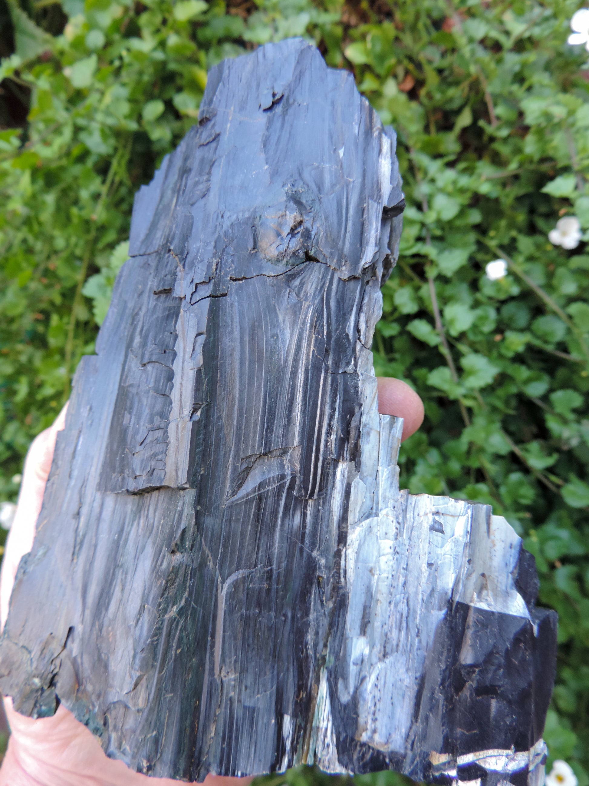 Agatized Wood, Petrified Wood, Mineral Specimens, Rock Specimens, Lapidary Stones, Lapidary Material, Alter Stones, Stones for Decorating, Decorative Stones, Semi-precious Stones, Semi-precious Gemstones, Rock Collector Specimens, Opalized Wood, Natural Stones, Grounding Stones, Transformational Stones, Protective Stones, Centering Stones