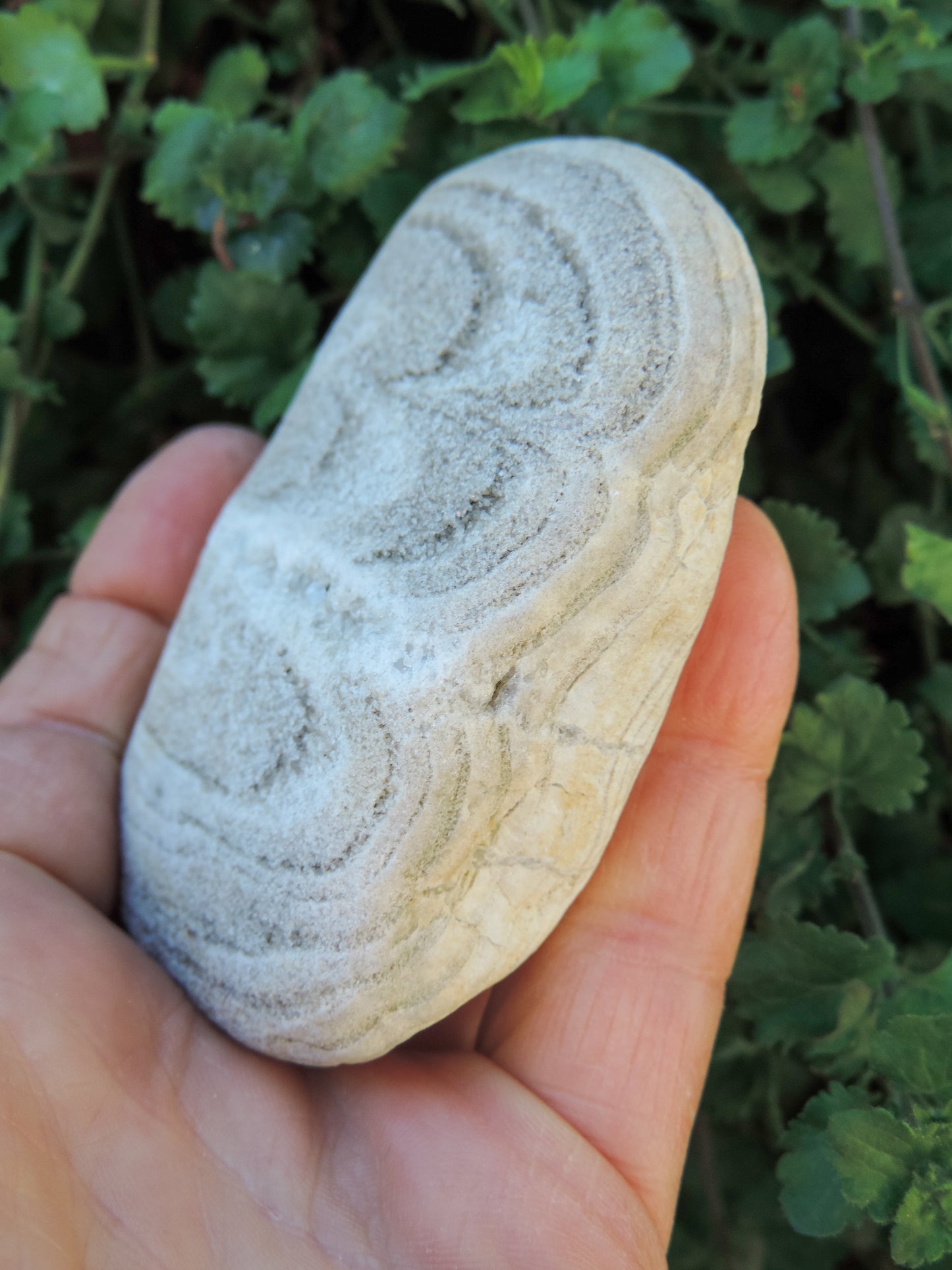 Adorn your home, office, cabin, camper, alter, hearth or collectors case with this unique one of a kind specimen and FEEL the difference.