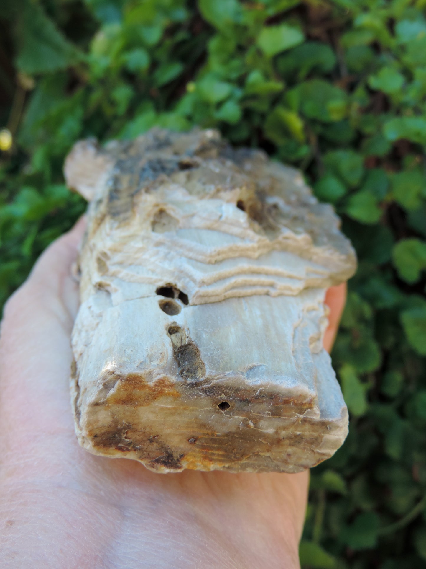 Thank you for supporting a small women owned and operated U.S. business. LOO Dimensions: 6"x 3"x 1.5" Weight: 1lb 1oz