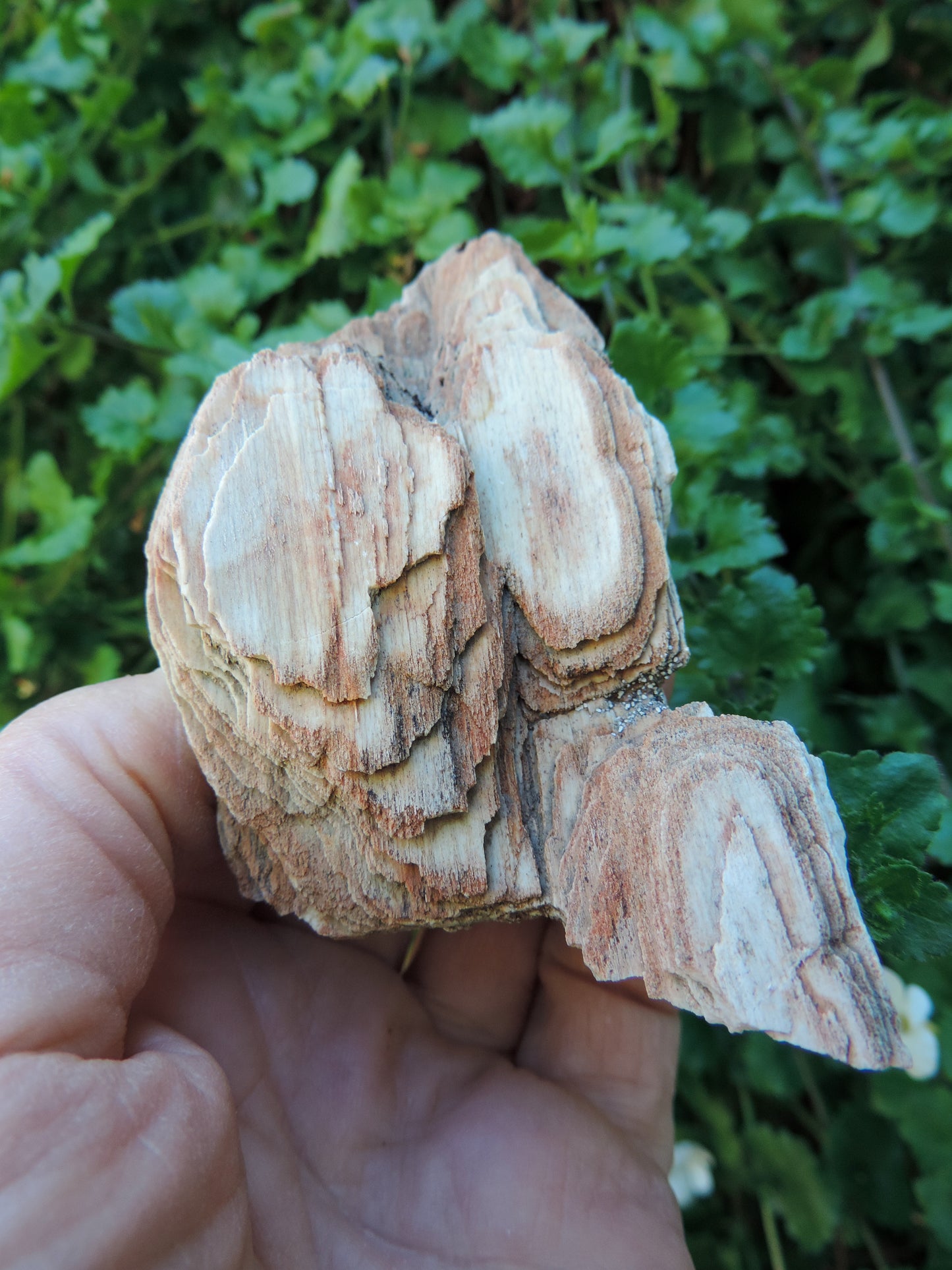 Adorn your home, office, cabin, camper, alter, hearth or collectors case with this unique one of a kind specimen and FEEL the difference.