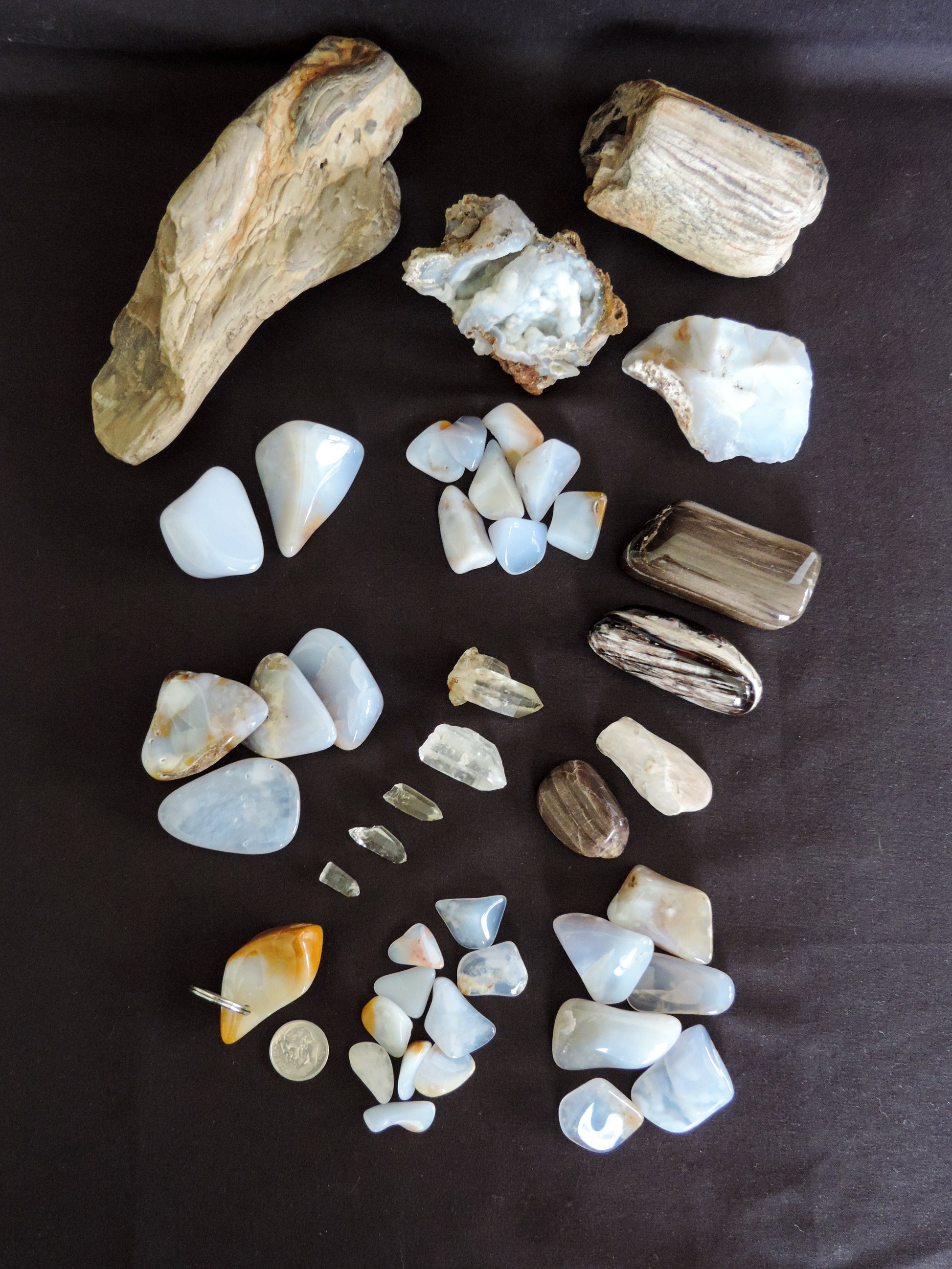 1 large petrified wood (rough) $19.75  1 beautiful madison blue agate specimen with pockets covered in botryoidal mini crystals, $22  1 madison blue agate key chain ( medium) $6.99  1 medium petrified/agatized wood (rough) $15.75  2 small petrified wood (polished) $6  2 extra small petrified wood (polished) $4  1 XL madison blue agate (rough) $7  2 XL madison blue agate (polished) $12.99  4 large