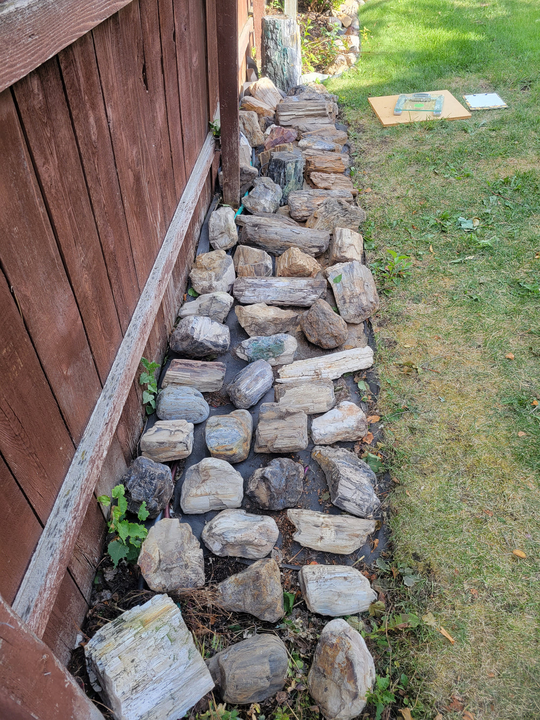 Petrified wood..wood pile..