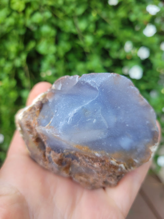 Rare Montana Madison Blue Agate aka Blue Chalcedony