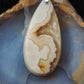 Brown Lace Agate pendant from West Sumatra., makes a great gift for everyone. 