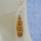 A variety of fossil coral species are found with some of the finest details replaced by agate and other minerals.   Choose your favorite fossil coral earrings and you’ll be wearing a wonder of the ocean!