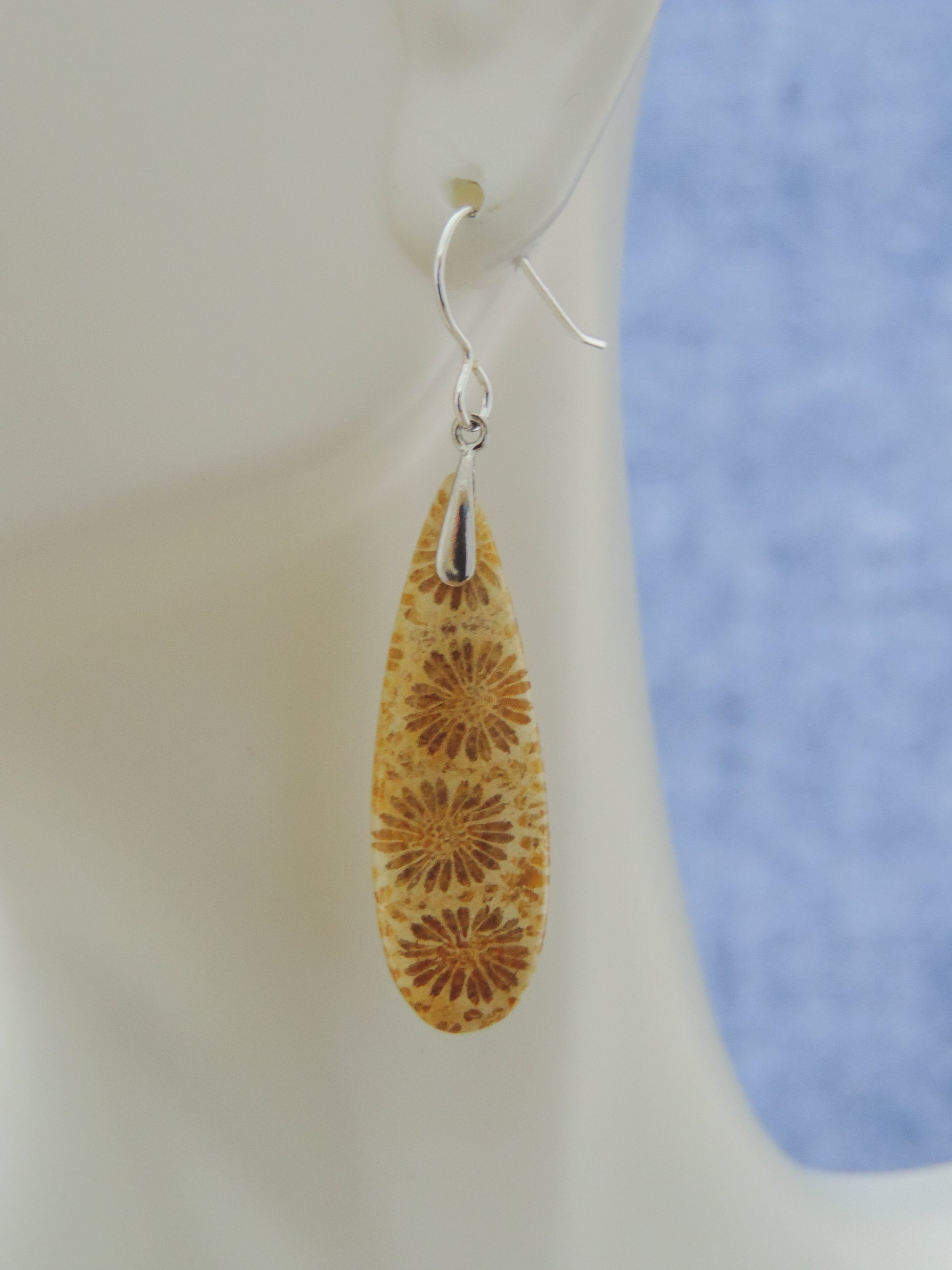 A variety of fossil coral species are found with some of the finest details replaced by agate and other minerals.   Choose your favorite fossil coral earrings and you’ll be wearing a wonder of the ocean!