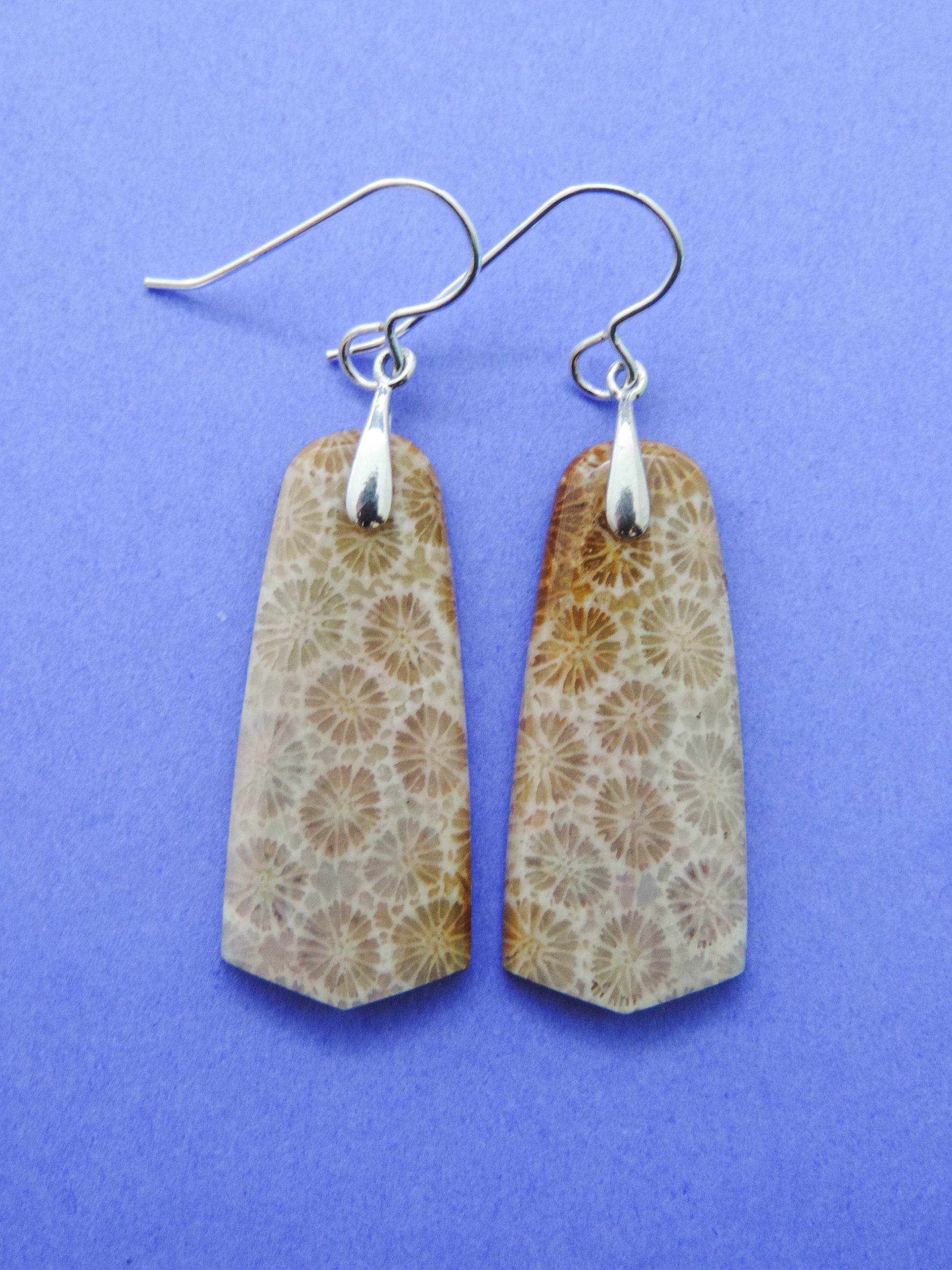 Indonesian Fossilized Coral Earrings & Sterling Silver  Agatized fossil corals are found in several provinces across the Indonesian Islands of Sumatra and Java.  