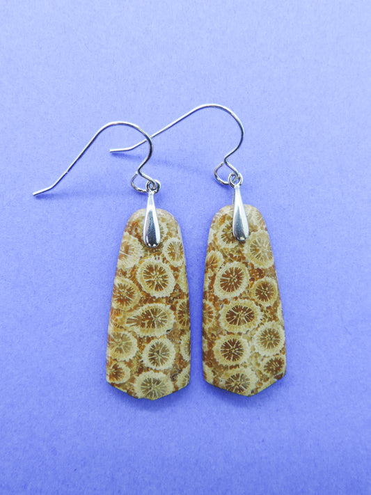 Indonesian Fossilized Coral Earrings & Sterling Silver  Agatized fossil corals are found in several provinces across the Indonesian Islands of Sumatra and Java.  The fossil corals are remnants of ancient reefs thrust up onto the land mass by plate collisions, and later found buried in the soils.  Some discovered areas of well preserved agatized coral reefs are testament to the fact that sea levels were once much higher than today as they are found much closer to the grounds surface.  