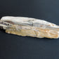 Brought to you from the mountains of Montana, this treasured specimen represents amazing geological transformations and the wondrous beauty of Mother Earth.