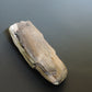 Created millions of years ago, petrified and agatized wood is found around the globe in numerous locations.  The stones’ distinctive appearance is determined by different conditions that include the tree species that was buried, the location and type of geological event that buried the trees