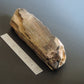 Agatized Wood, Petrified Wood, Mineral Specimens, Rock Specimens, Lapidary Stones, Lapidary Material, Alter Stones, Stones for Decorating, Decorative Stones, Semi-precious Stones, Semi-precious Gemstones, Rock Collector Specimens, Opalized Wood, Natural Stones, Grounding Stones, Transformational Stones, Protective Stones, Centering Stones  