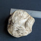 Agatized Wood, Petrified Wood, Mineral Specimens, Rock Specimens, Lapidary Stones, Lapidary Material, Alter Stones, Stones for Decorating, Decorative Stones, Semi-precious Stones, Semi-precious Gemstones, Rock Collector Specimens, Opalized Wood, Natural Stones, Grounding Stones, Transformational Stones, Protective Stones, Centering Stones  .