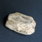 Created millions of years ago, petrified and agatized wood is found around the globe in numerous locations.  The stones’ distinctive appearance is determined by different conditions that include the tree species that was buried, the location and type of geological event that buried the trees,