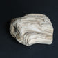 Petrified wood encourages gentle openness to personal transformations as well as being a pleasant reminder to embrace change and/or transformation.