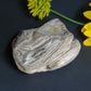 Brought to you from the mountains of Montana, this treasured specimen represents amazing geological transformations and the wondrous beauty of Mother Earth.