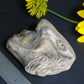 Petrified wood is often viewed as a sacred representation of humankind's connection to the universe because it was once a living object that has gone through a dramatic transformation.
