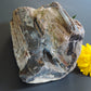 Petrified wood is often viewed as a sacred representation of humankind's connection to the universe because it was once a living object that has gone through a dramatic transformation.