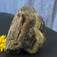 Brought to you from the mountains of Montana, this treasured specimen represents amazing geological transformations and the wondrous beauty of Mother Earth.