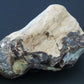 Agatized Wood, Petrified Wood, Mineral Specimens, Rock Specimens, Lapidary Stones, Lapidary Material, Alter Stones, Stones for Decorating, Decorative Stones, Semi-precious Stones, Semi-precious Gemstones, Rock Collector Specimens, Opalized Wood, Natural Stones, Grounding Stones, Transformational Stones, Protective Stones, Centering Stones  