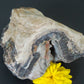 Adorn your home, office, cabin, camper, alter, hearth or collectors case with this unique one of a kind specimen and FEEL the difference. 