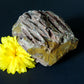 Petrified wood encourages gentle openness to personal transformations as well as being a pleasant reminder to embrace change and/or transformation.